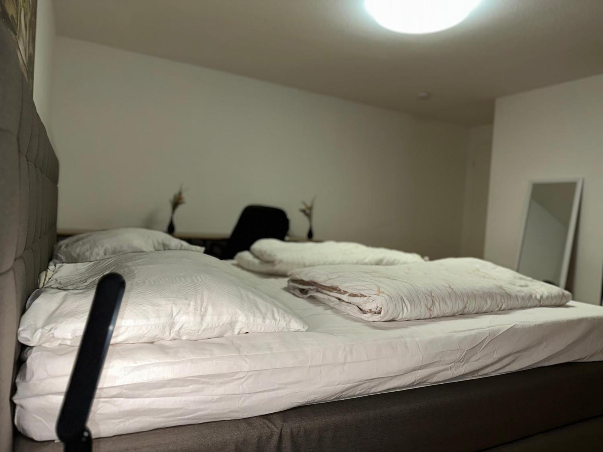 City Wohnung Zwickau Exteriör bild